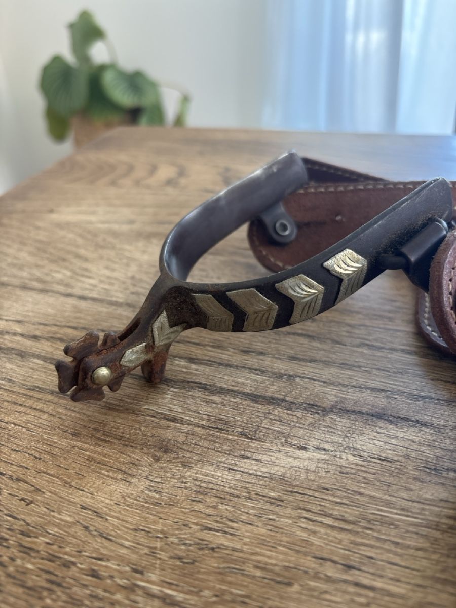 Selle & Accessori: Sporen (Reitsporen) – Usato da Zürich venduto da janders 2