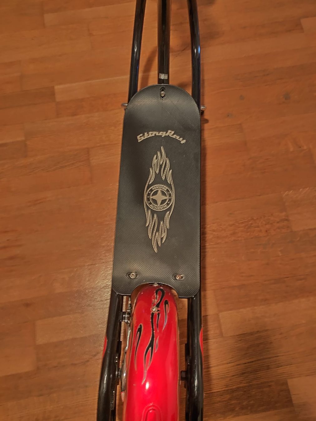 Kickboard: Schwinn Sting Ray Scooter – Usato da Luzern venduto da Luzern_Energy 6