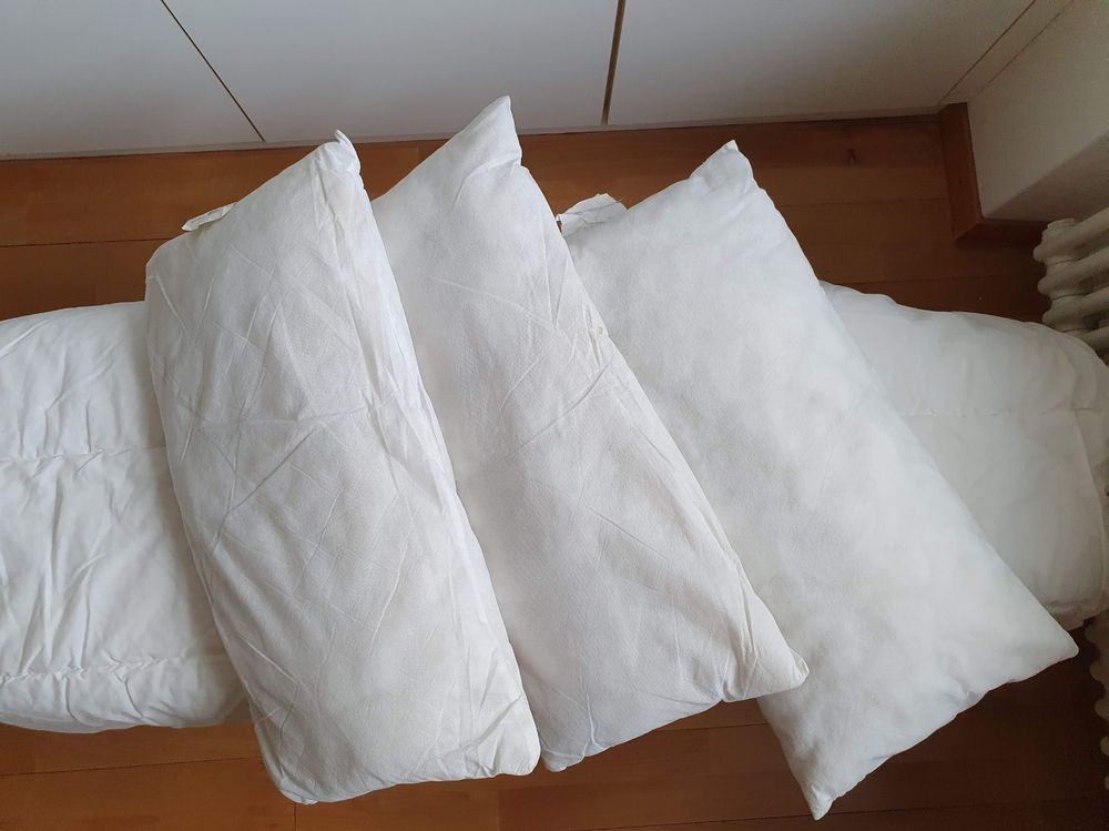 3 x Ikea Kissen (Söderhamn Sofa) 60 x 30 cm Kaufen auf Ricardo