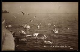 AK Ouchy, Les gracieux hôtes du Lac
