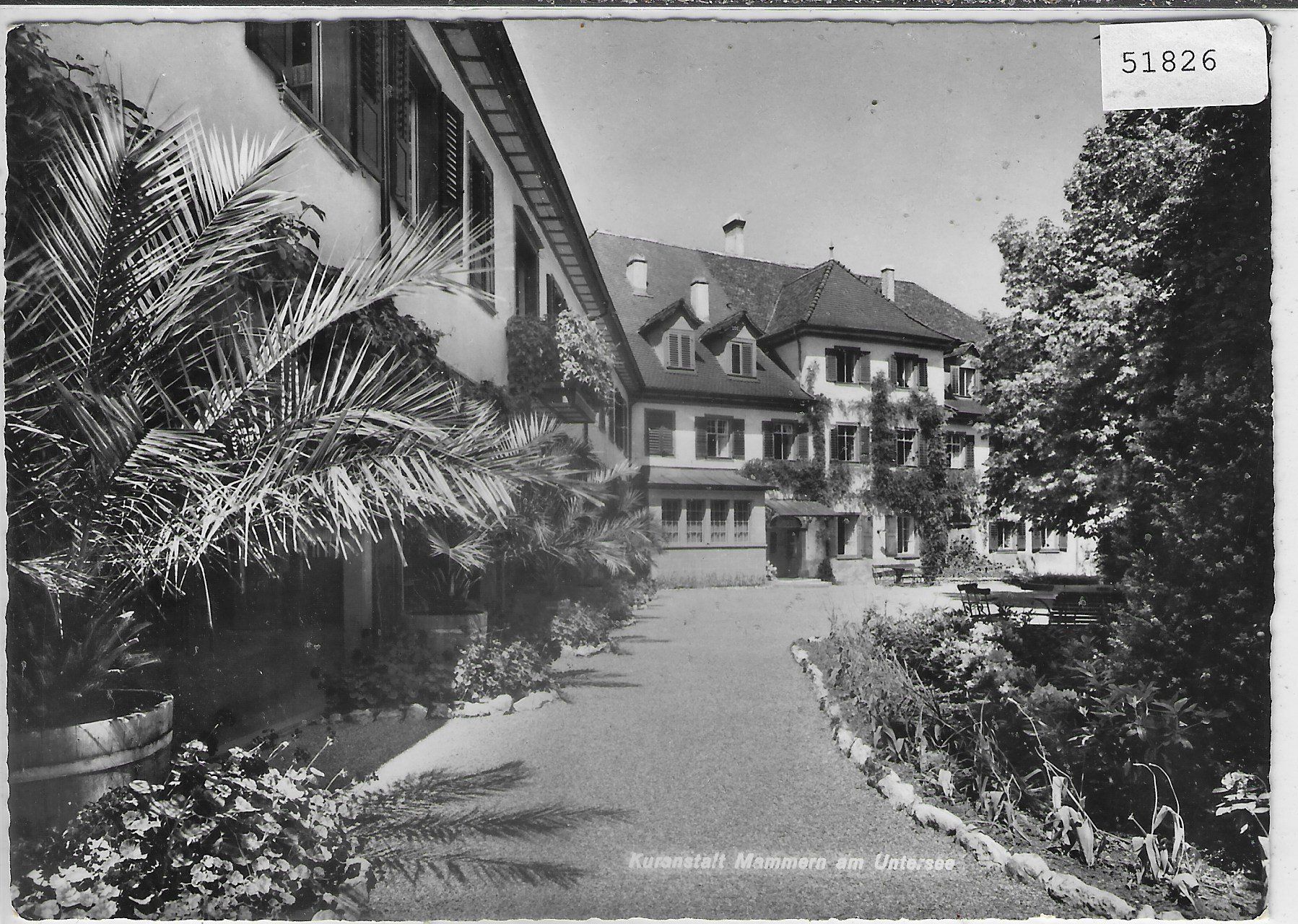 Cartoline postali: Kuranstalt Mammern am Untersee – Usato da Ettingen venduto da Kartenplanet
