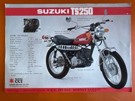 Suzuki TS250  /  TS 250