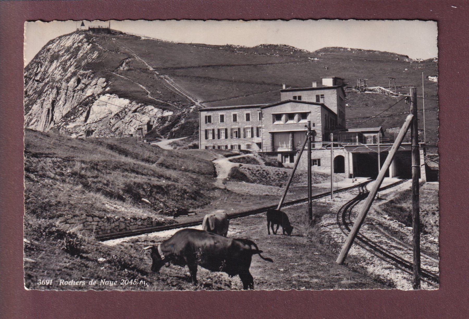 Ansichtskarten: ROCHERS DE NAYE - Gare - Vaches – Gebraucht aus Pully von nicecards