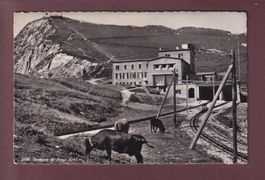 ROCHERS DE NAYE - Gare - Vaches