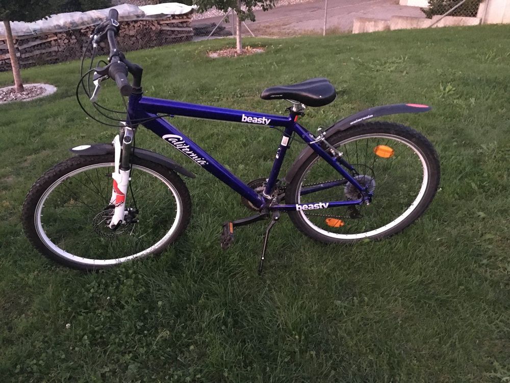 Bike 26 Zoll Kaufen auf Ricardo