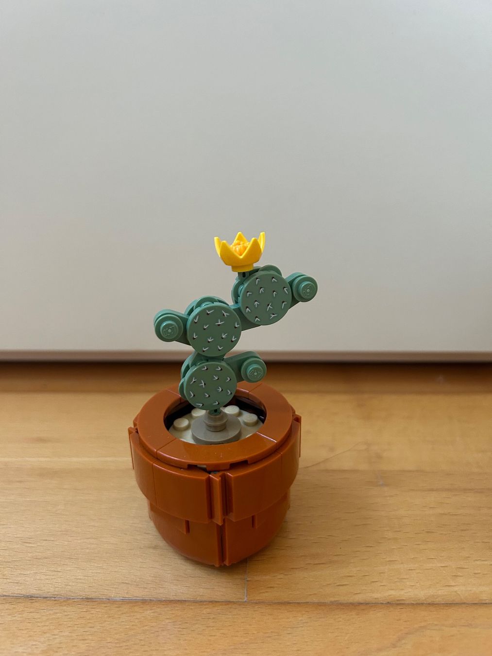 Lego Giocattoli: Lego Kakteen – Usato da Solothurn venduto da ann_s7vc 1