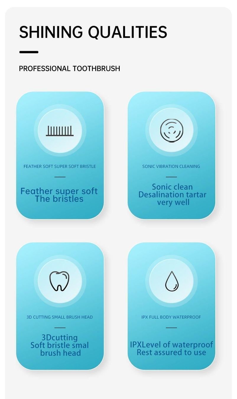 Cura dei denti: Elektrische Schallzahnbürste – Nuovo e nell'imballaggio originale da Gurmels venduto da Swisspod 5
