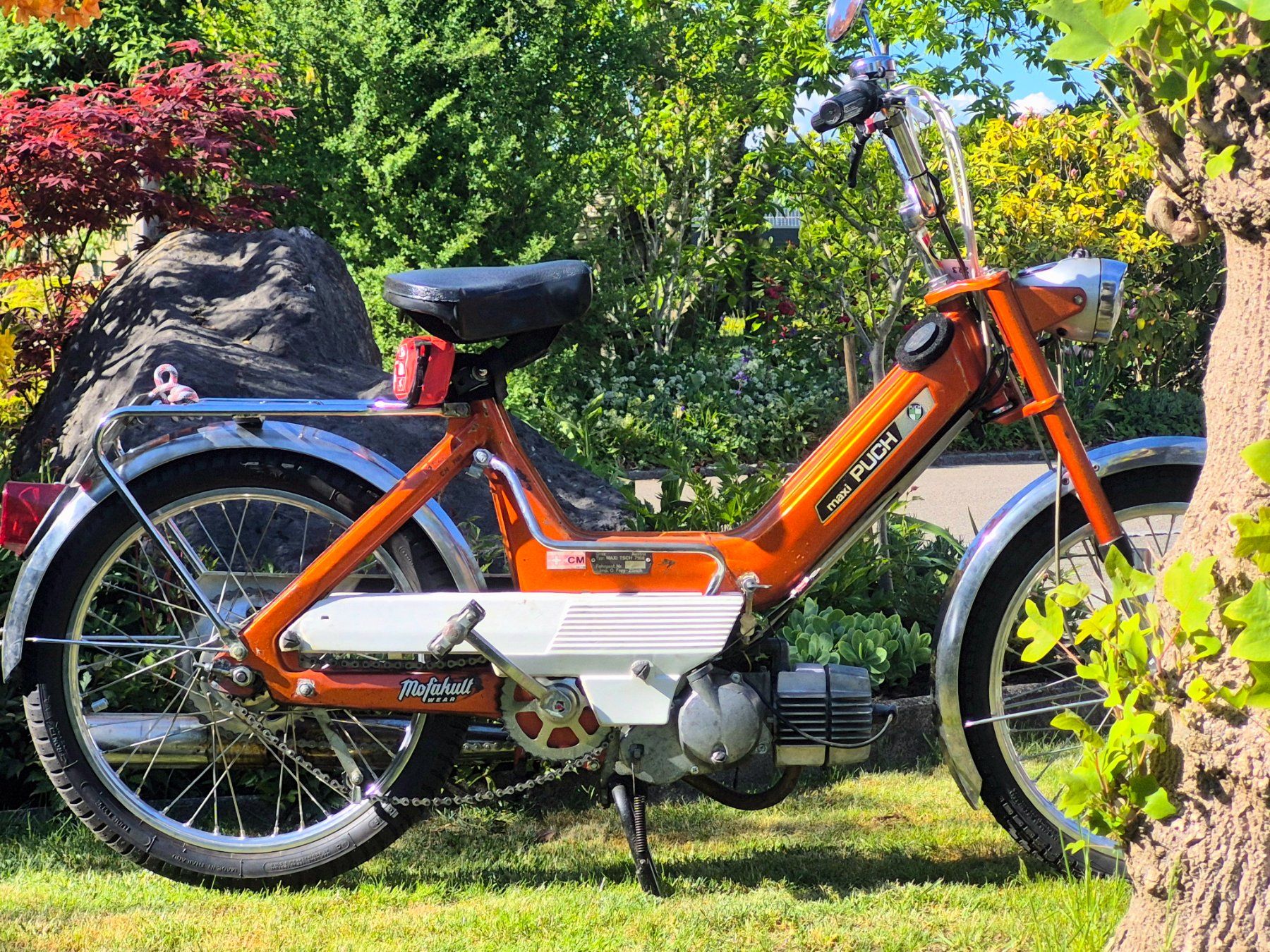 Puch Cyclomoteurs: Puch Maxi N CH 7168 – D'occasion à Niederuzwil par nic_f2574 2