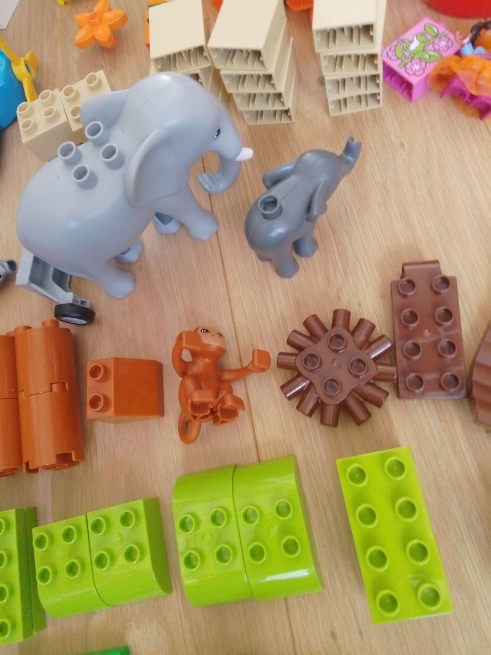 Lego Baukästen: Lego Duplo Dschungel 10804 – Gebraucht aus Wohlen AG von salamanderspielwaren 5