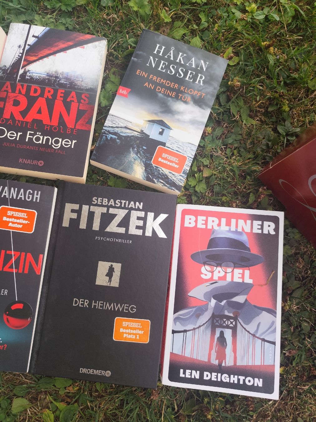 Libri: Thriller Crimi Books Bundle Set German – Usato da Mägenwil venduto da VintageGirly 2