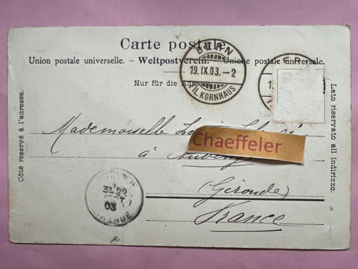 Ansichtskarten: 1903 Bern und die Alpen – Gebraucht aus Zürich von Chaeffeler 1