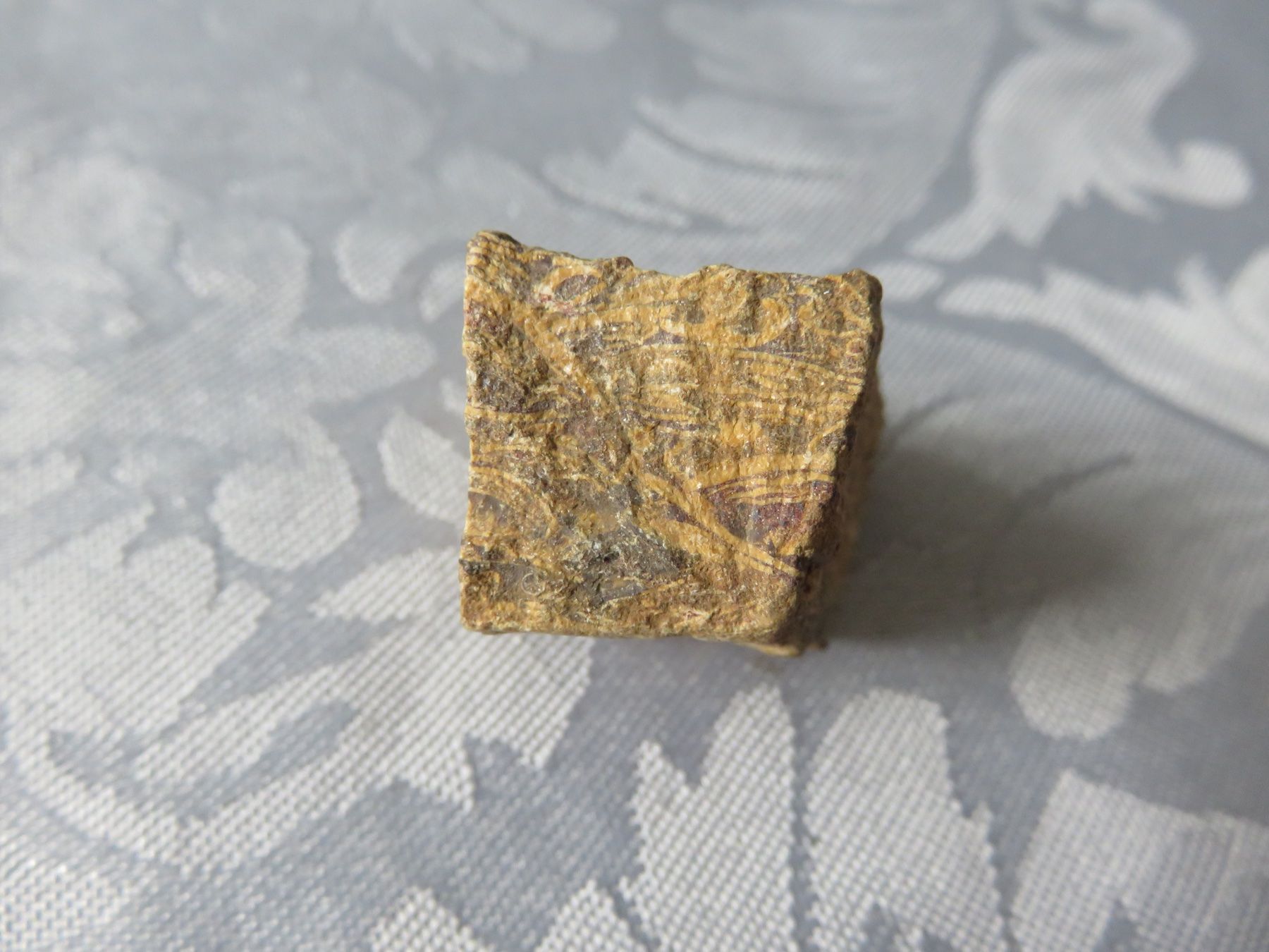 Fossilien: Fossilien Stein roh und geschliffen – Neu (gemäss Beschreibung) aus Rümlang von baselsale1 2