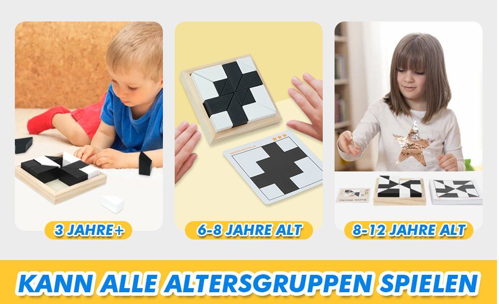 Giochi: IQ Puzzle Game with 80 Challenges  brains spiel – Nuovo (secondo la descrizione) da Thun venduto da onlino 4