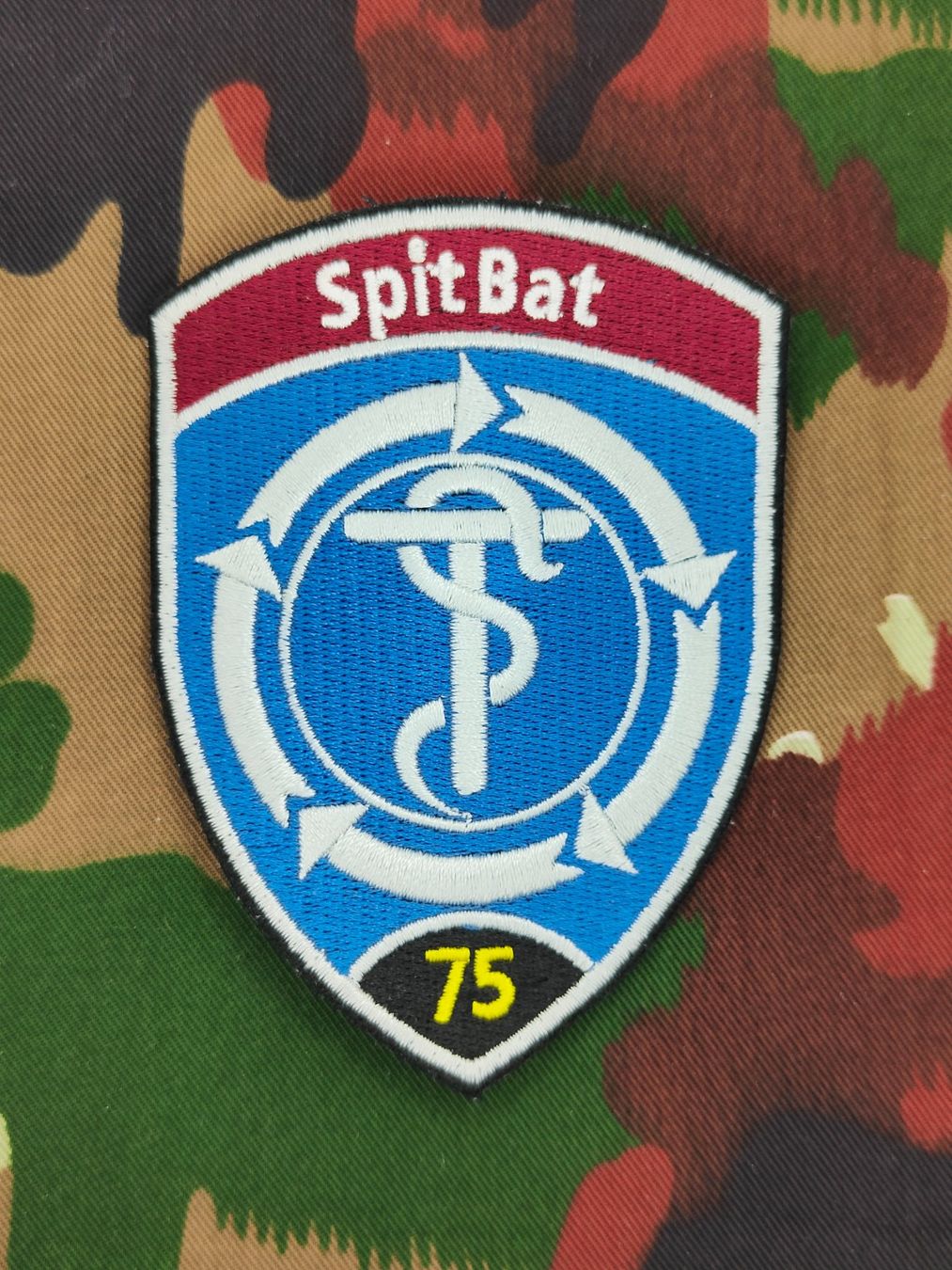 Schweizer Armee Plaketten & Abzeichen: Verbandsabzeichen Spit Bat 75 Stabskp – Gebraucht aus Bauma von SwissMilitaria