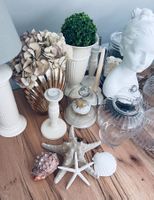 Muscheln Set