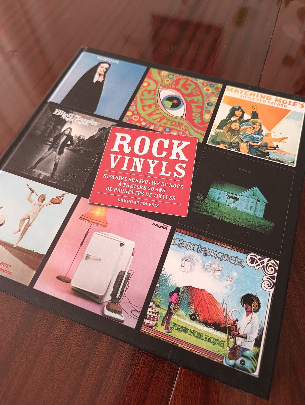 Libri: lot de livres sur les vinyles – Nuovo (secondo la descrizione) da Petit-Lancy venduto da jer_npv6