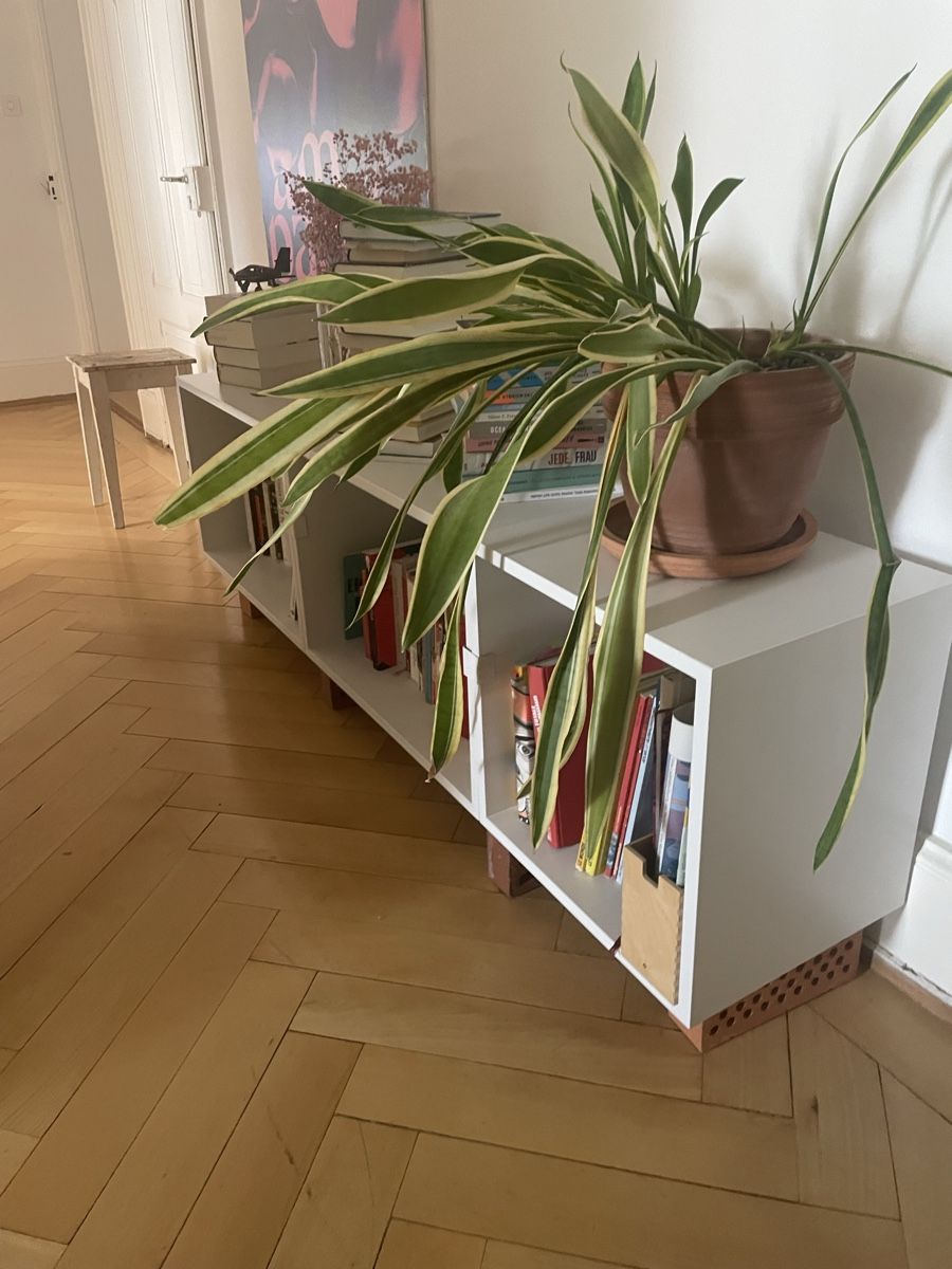 Étagères: schönes,  modulares Regal, Muuto – D'occasion à Luzern par snape 1