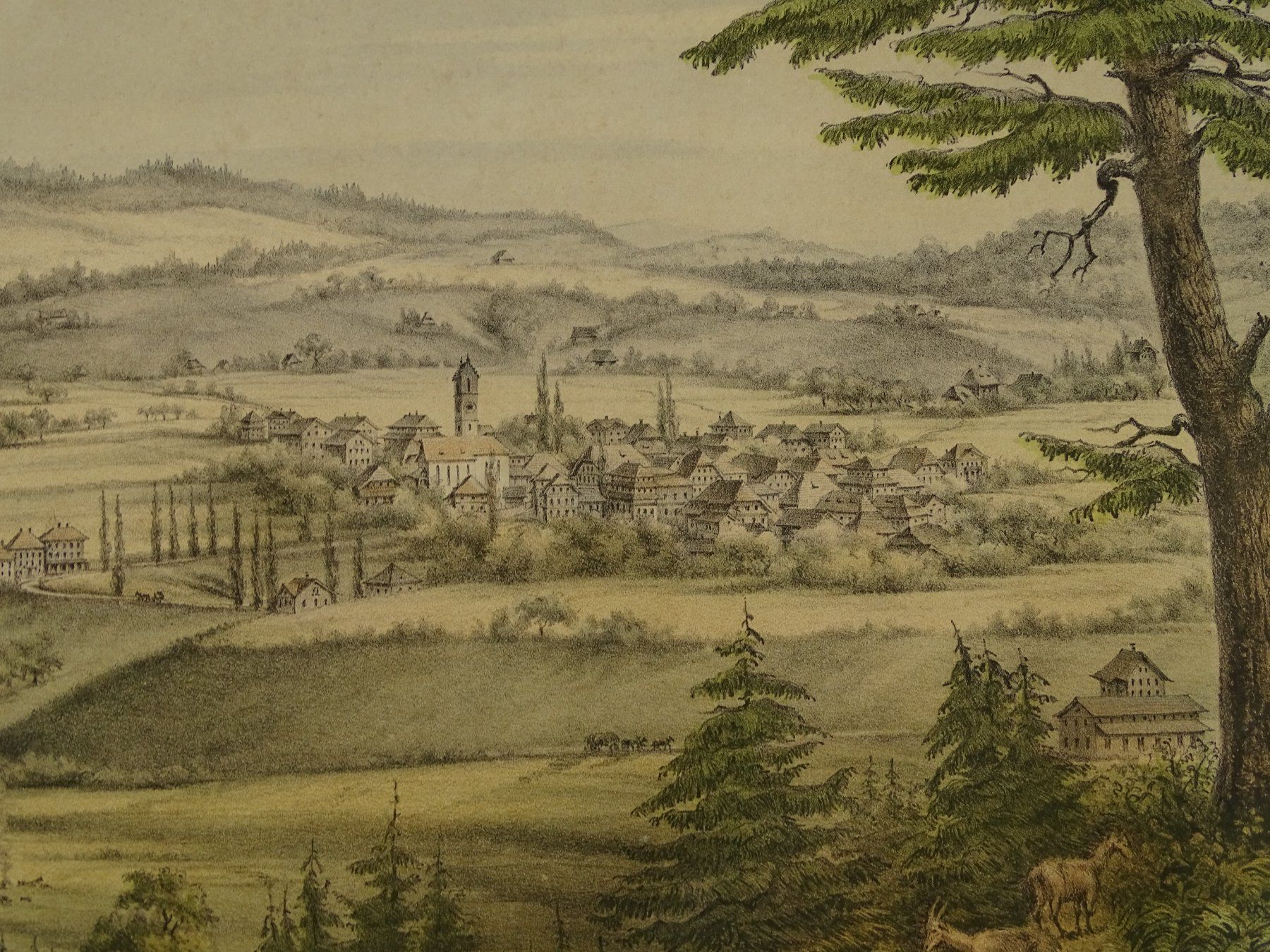 Incisioni: SUMISWALD, LITHOGRAPHIE UM 1870 – Usato da Grüningen venduto da Kartensammler 7
