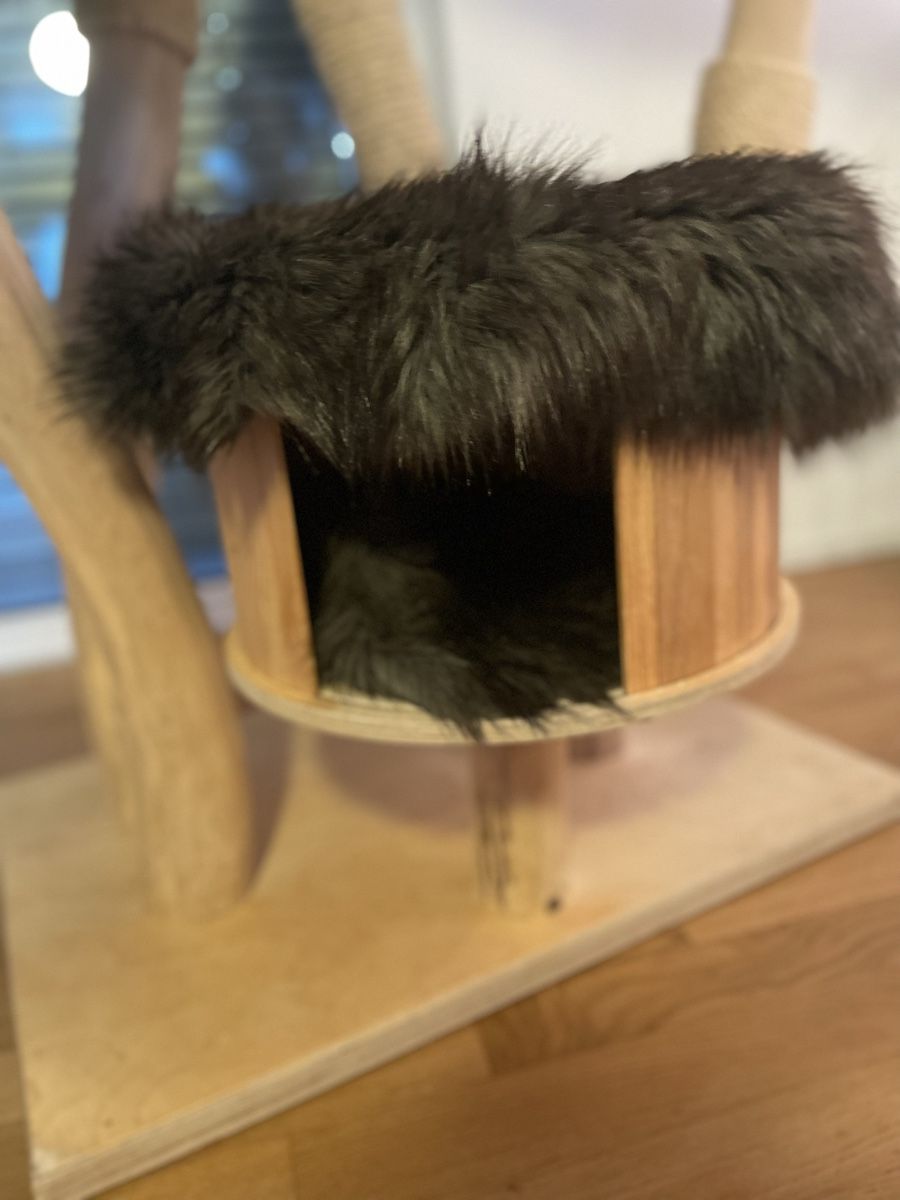 katze trockenfutter menge Cats Nature Senior Huhn Trockenfutter | mera