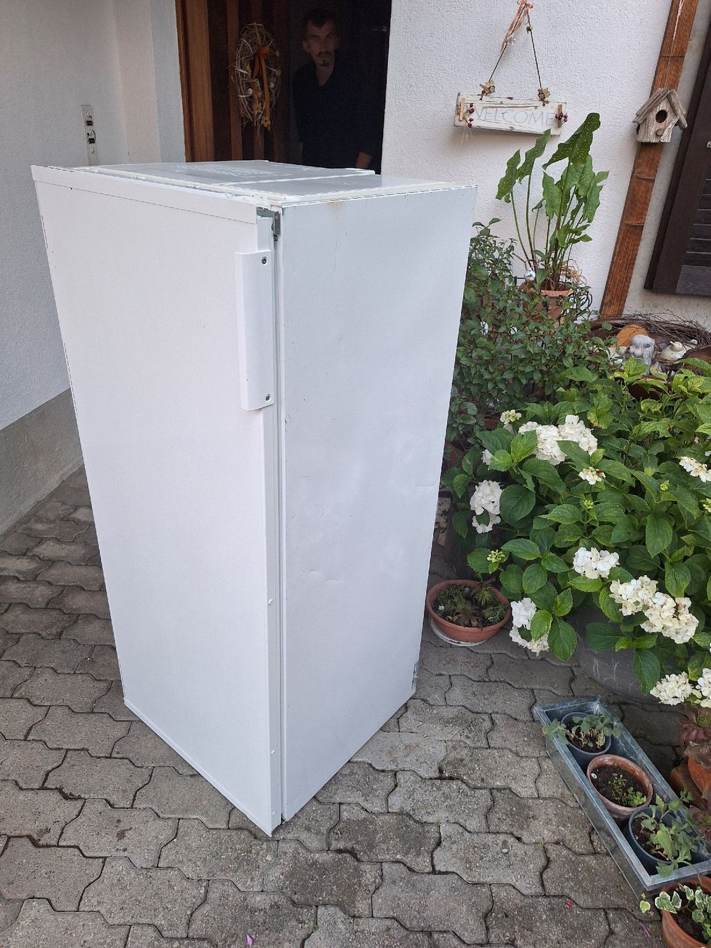 Electrolux Kühlschrank: Kühlschrank Electrolux – Gebraucht aus Uetendorf von Albi125 3