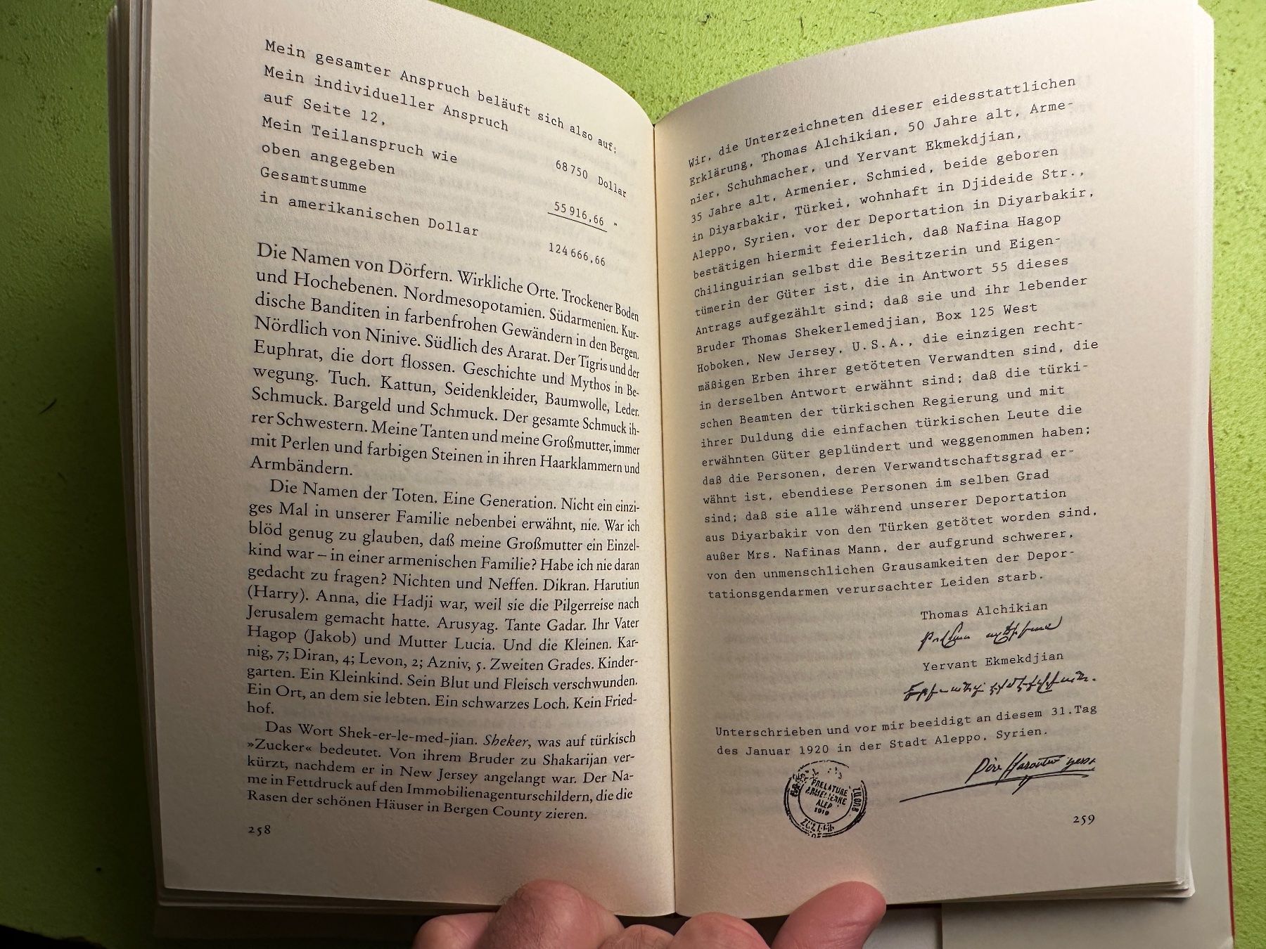 Libri: Peter Balakian: Die Hunde vom Ararat. – Usato da Zürich venduto da allp 7
