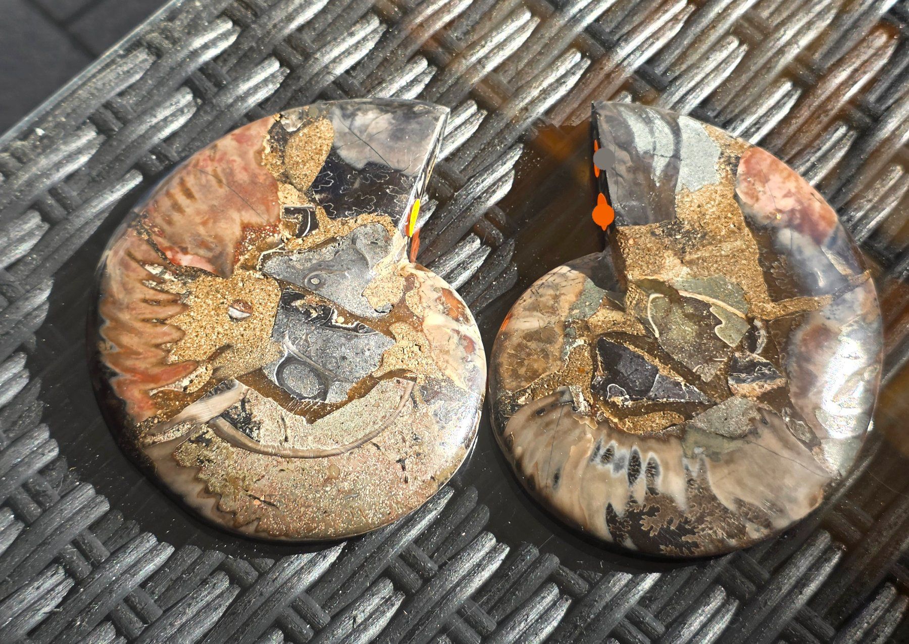 Fossili: Ammoniten Paar Schwarz P11 210g – Nuovo e nell'imballaggio originale da Matzingen venduto da Shay_Crystalz 1