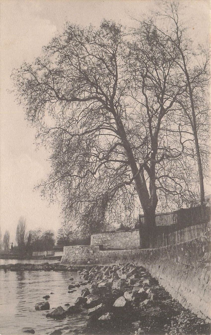 Cartoline postali: Renens – Usato da Biasca venduto da Blenio71