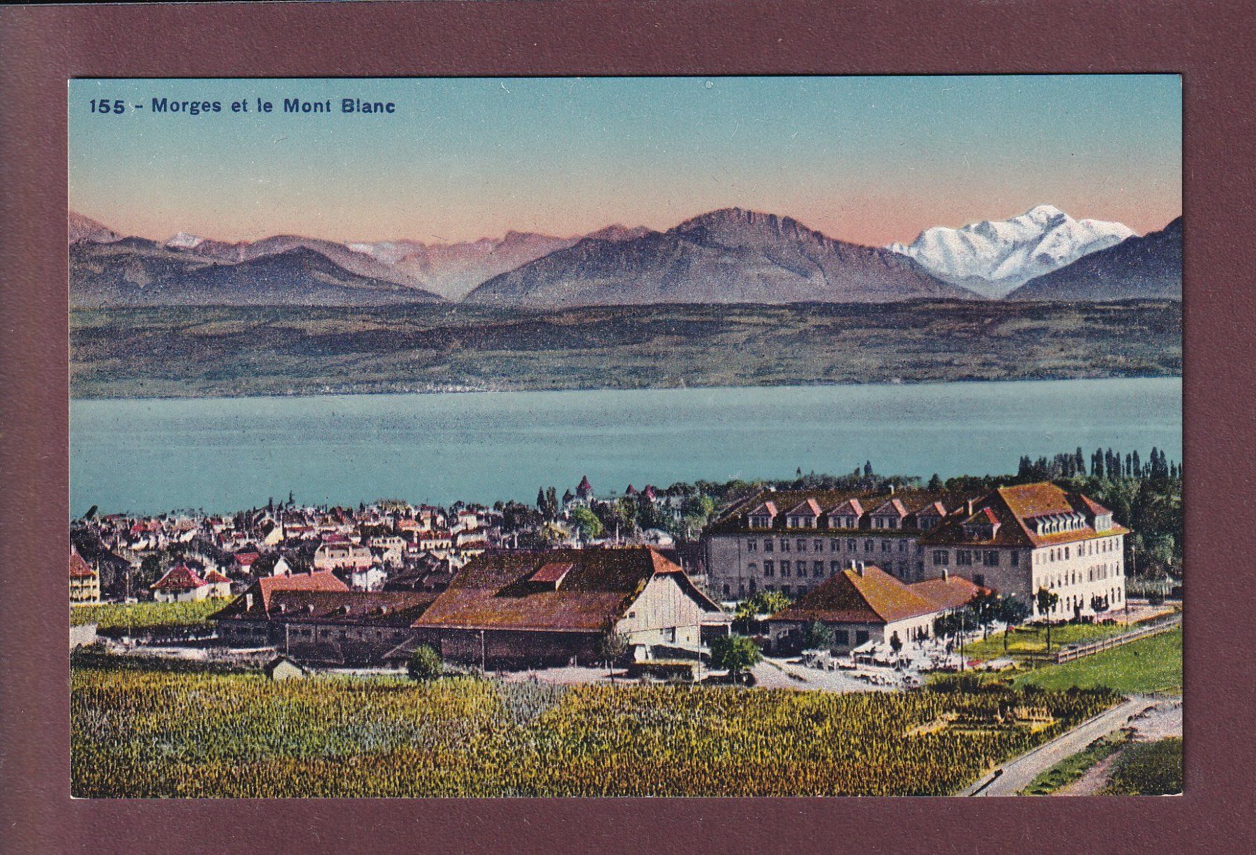 Ansichtskarten: MORGES - Mont Blanc – Gebraucht aus Pully von nicecards