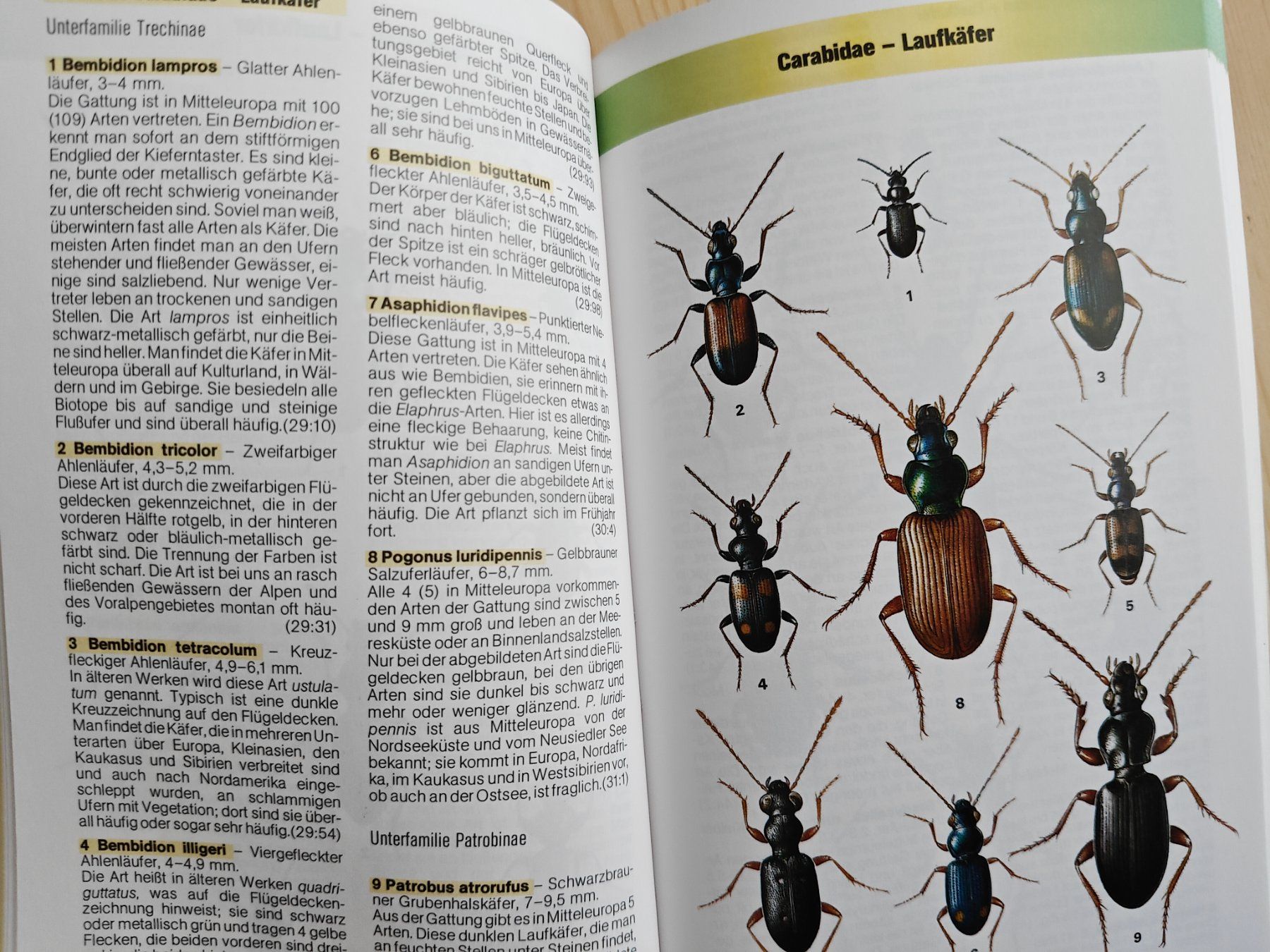 Libri: Der Kosmos-Käferführer / Harde/Severa - Mitteleuropa – Usato da Muttenz venduto da IkaSul 2