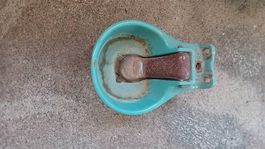 Tränkebecken