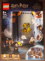 LEGO Harry Potter 76385 Hogwarts™ Moment: Zauberkunstunterri