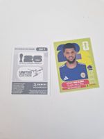 Panini Sticker CUW7