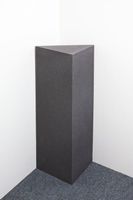 Bass Trap TRIANGLE PU