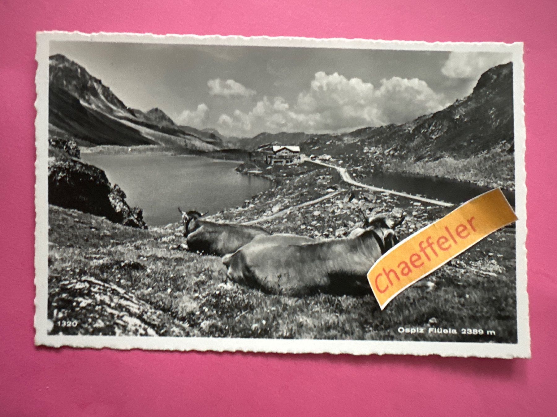 Cartes postales: 1320 Ospitz Flüela – D'occasion à Zürich par Chaeffeler