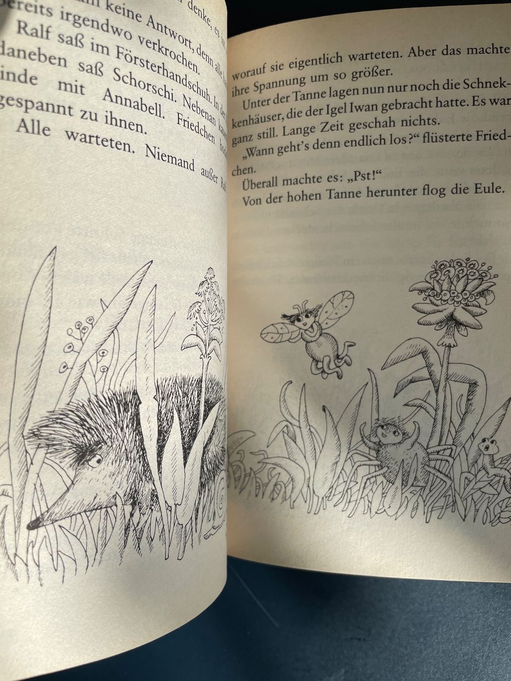 Bücher: Buch Friedchen Fliege von Margrit Rettich von Ravensburger – Gebraucht aus Winterthur von calbecht 3