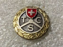 Ansteckpin 206: TCS