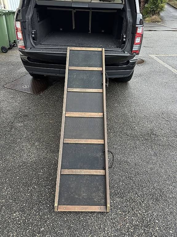 Gabbie, trasporto & Sicurezza: Rampa per cani/ Hunderampe  – Usato da Ascona venduto da gle_2rwz