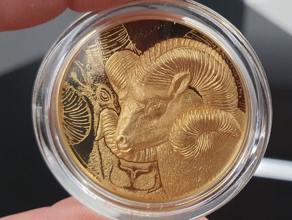 Tutti le monete: Goldmünze  CIt Mongolei  Argali – Nuovo e nell'imballaggio originale da Greppen venduto da hploetscher 7