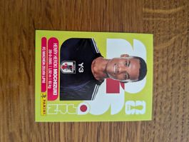 Panini Japan 3
