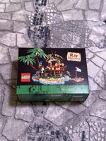 Lego Ray The Castaway 40566 NEU