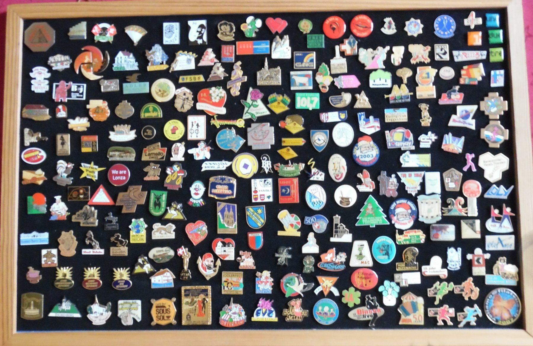 Placchette & Badge: Pin-Sammlung – Usato da Bellinzona venduto da Luna093