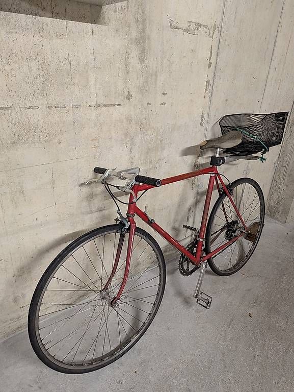 Biciclette: Fahrrad – Usato da Bern venduto da Whatever 1