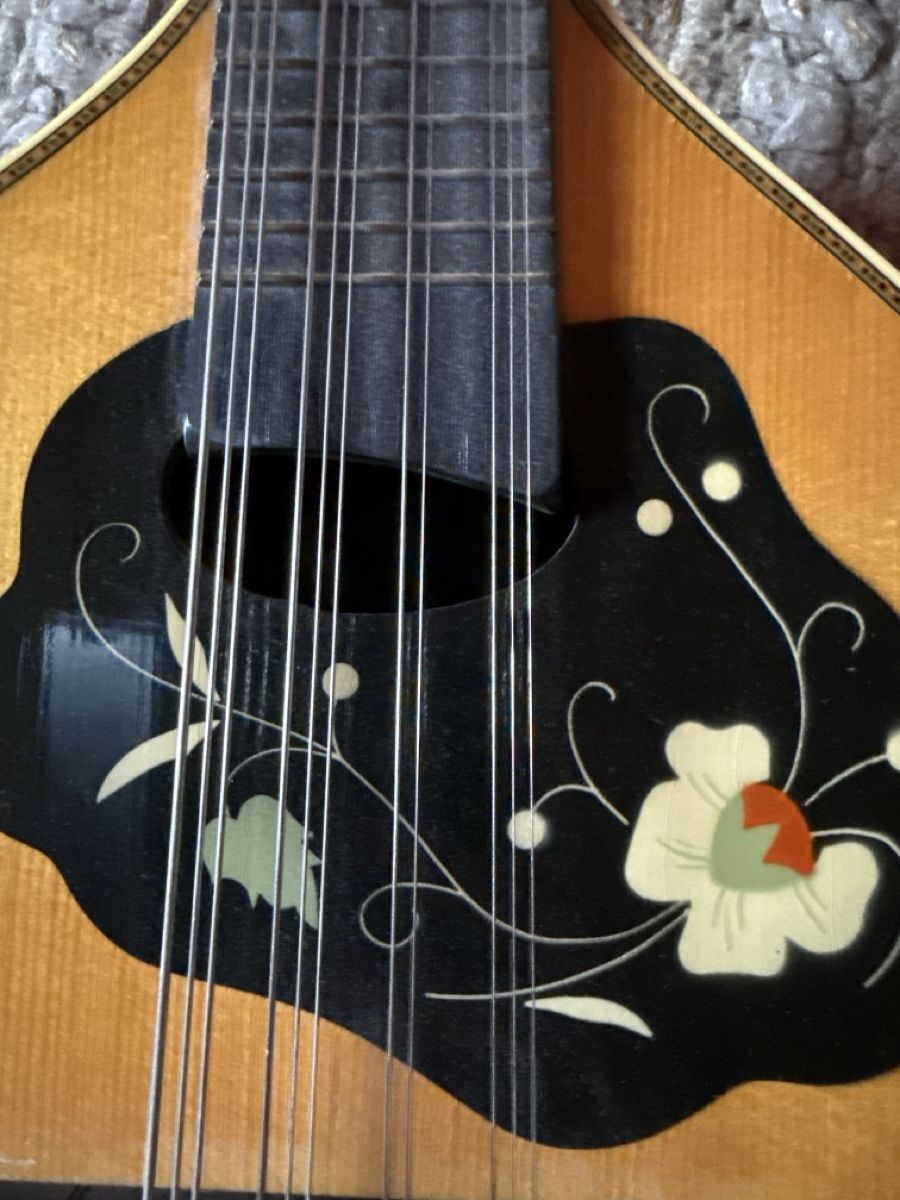 Musikinstrumente: Mandriola – Gebraucht aus Eschenbach SG von hubidani 2