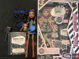 Monster High Puppen Rochelle Goyle & Robecca Steam