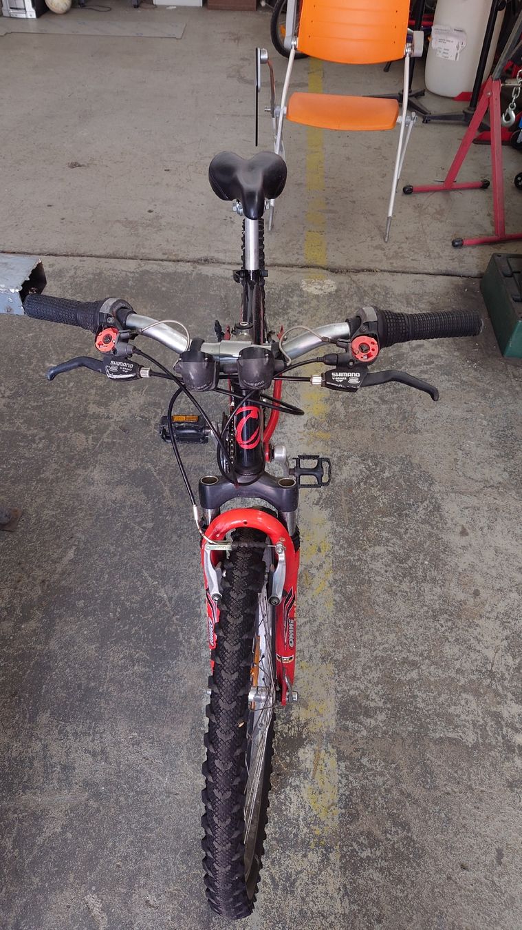 Biciclette: vendo 2 biciclette – Usato da Mezzovico venduto da lav_j8qh 4