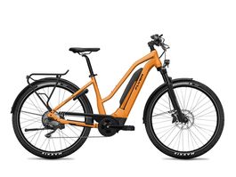 E-Bike Flyer Gotour3 orange Tiefeinsteiger gebraucht 