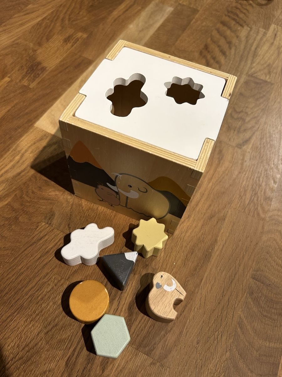 Giocattoli: Baby Formensortierbox – Usato da Hagenbuch ZH venduto da Rayliz17