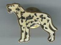 Dalmatiner Hund, Pin