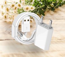 Chargeur + cable iPhone