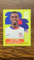 Panini 2026 WM USA Weah USA 12 Amerika